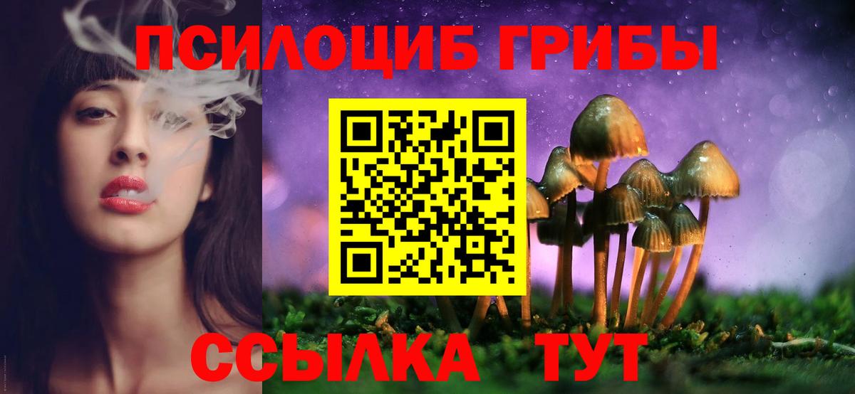 Псилоцибиновые грибы Psilocybe  Вход с VPN  Александров 